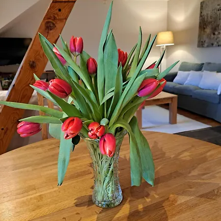 Am Speicher Apartamento *